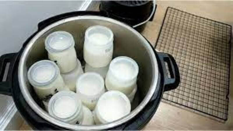 ủ sữa chua bằng nồi cơm điện