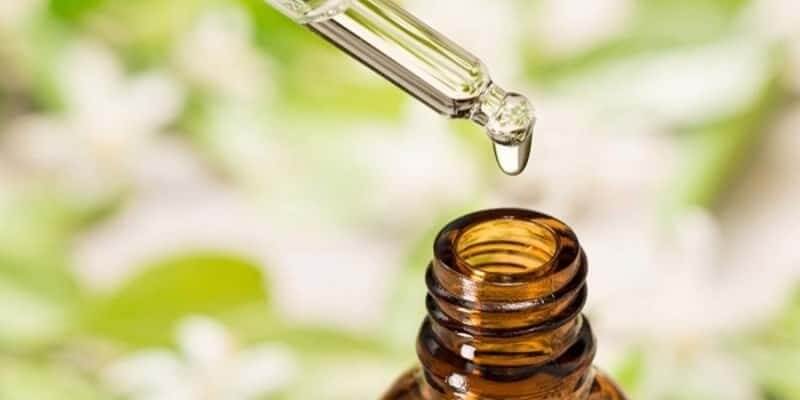 cách nhận biết nhà có rắn