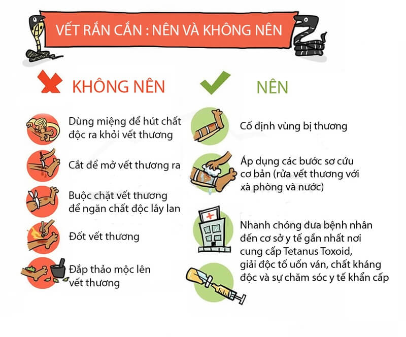 cách nhận biết nhà có rắn